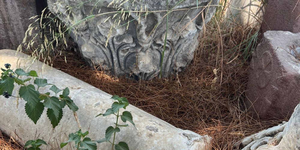 Ancient ruins of the Mausoleum at Halicarnassus with lush green plants and leaves growing through the fallen stone