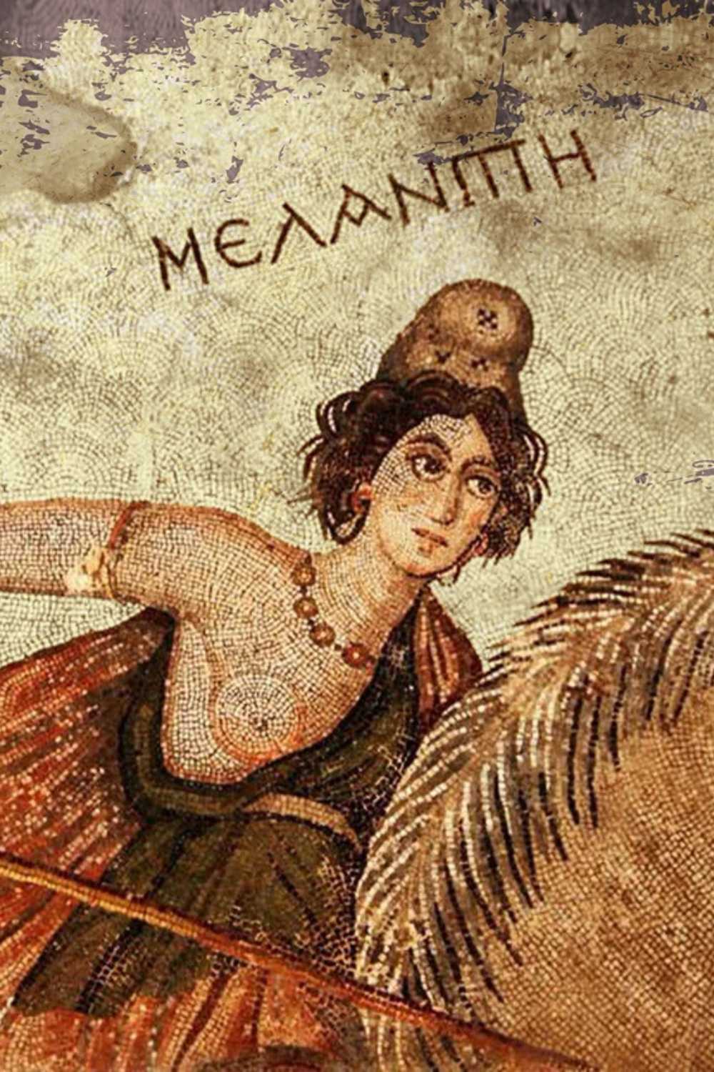 Mosaic of a amazon warrior woman with a horse, in classical art.
